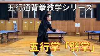 【通背拳】五行掌「劈掌」 (遼寧省瀋陽 鄭剣鋒 伝) (五行通背拳教学シリーズ)