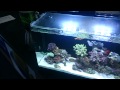 I added a skimmer to my Nuvo 16 aquarium