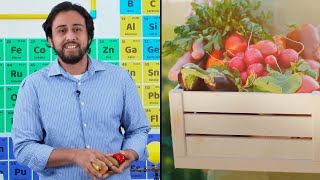 Los Vegetales | Teleclases 4° grado