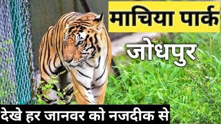 machia biological park Jodhpur Rajasthan माचिया जैविक उद्यान जोधपुर का दृश्य