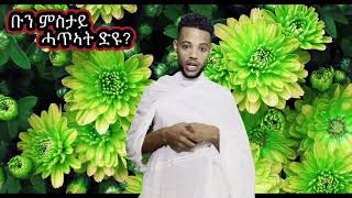 Bun mstay hatiat dyu ? ቡን ምስታይ ሓጥኣት ድዩ?