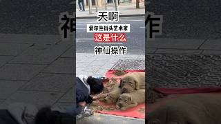 来了爱尔兰才知道的事情（二）：匪夷所思的爱尔兰艺术家#愛爾蘭 #欧洲生活 #欧洲旅游#爱尔兰移民