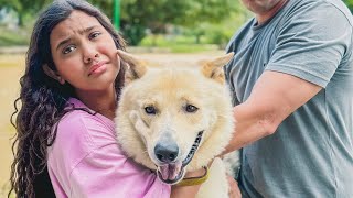 CADÊ O NOSSO CACHORRO ? Melhor da semana