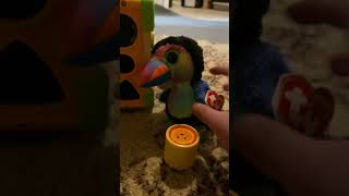 Geometry Concepts for 6th Graders | Cylinders and Cones