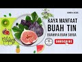 7 manfaat buah tin ❗❗Buah surga kaya akan manfaat ❓❓yang wajib di ketahui