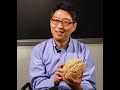 Mapping the Brain