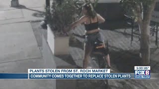 Community comes together to replace stolen plants from St. Roch Market