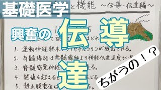 【解説】完結編！興奮の伝導・伝達