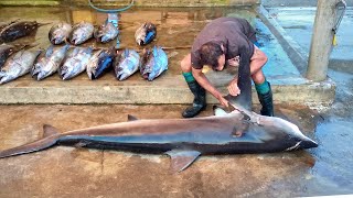 Amazing!!  Huge 150KG Shark Fish Cutting In Beautiful Nature Rural Village Worth Fish Market