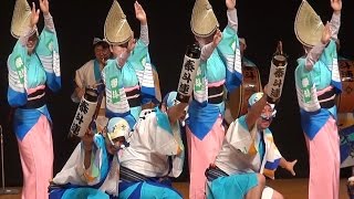 舞台踊り「泰斗連」南越谷アンコール阿波踊り（2015.9.27）