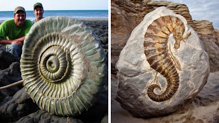 15 INCREDIBLE Animal Fossils