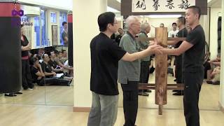 WING CHUN - Using the 'CENTER OF MASS' as the engine!!?