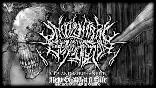 Involuntary Convulsion  - “Errare Humanum Est” (Tempus Edax Rerums 2016 | New Standard Elite)