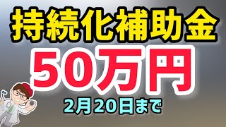 今から間に合う持続化補助金・従業員が0名ないし少ない個人事業主・中小企業等が対象最大５０万円１００万円２００万円・2023年も継続募集情報【中小企業診断士YouTuber マキノヤ先生】第1309回