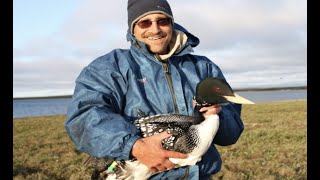 Loon Lessons: Uncommon Encounters with the Great Northern Diver