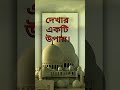 ইসলাম কোন নিয়ম কানুন নয় islamic islaeo islamicquotes islamicstatusmicvid