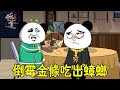 【SD動畫】金條用餐吃出蟑螂，無賴店家撒潑打諢巨不負責，但是你就說這服務態度好不好吧！【暴走王金條】