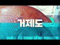 겨울 청어회 맛은 feat. 자영업자