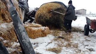 режем сено в стогу бензокосой.