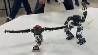 自作二足歩行ロボットバトル　子龍 VS スタッカートBiped robot battle【ROBO-ONE light class】Self-made bipedal walking robot