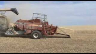 Harvest 2008