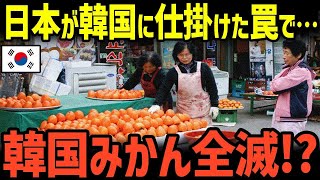 【衝撃】K国のみかん産業が崩壊→日本から恐るべき仕返しが・・・【総集編】【グレートJAPANちゃんねる】