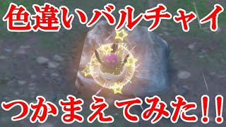 【ポケモンSV】色違いバルチャイつかまえてみた！！