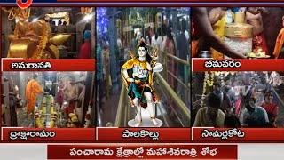 పంచారామ క్షేత్రాల్లో ఘనంగా మహా శివరాత్రి వేడుకలు | Maha Sivaratri 2021 TV5 News