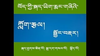 བོད་ཀྱི་སྐད་ཡིག་རྨང་གཞིའི་ཀློག་རྩལ་སྦྱོང་བརྡར།  TIBETAN READING BASIC PRACTICE.