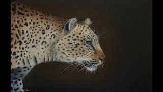 Relaxing Leopard Acrylic Painting Time-Lapse by Sophie Green