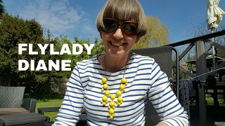 Flylady Diane - Sunny Saturday