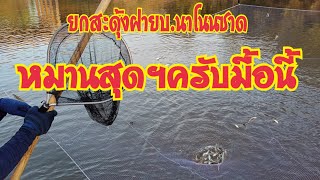 ยกสะดุ้งหาปลามื้อนี้ ปลาสร้อย ปลากะไท ปลาขาว..เข้าสะดุ้งแทบทุกรอบ12พ.ย.64