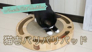 【猫購入品】買ってよかった！猫壱バリバリパッドコロコロボール／爪とぎ・おもちゃ・バリバリボウル／暮らしのVLOG