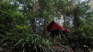 CAMPING DITENGAH HUTAN KALIMANTAN | PANEN KERANG SUNGAI