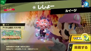 スマブラSP 挑戦！ホープ級　ししょー