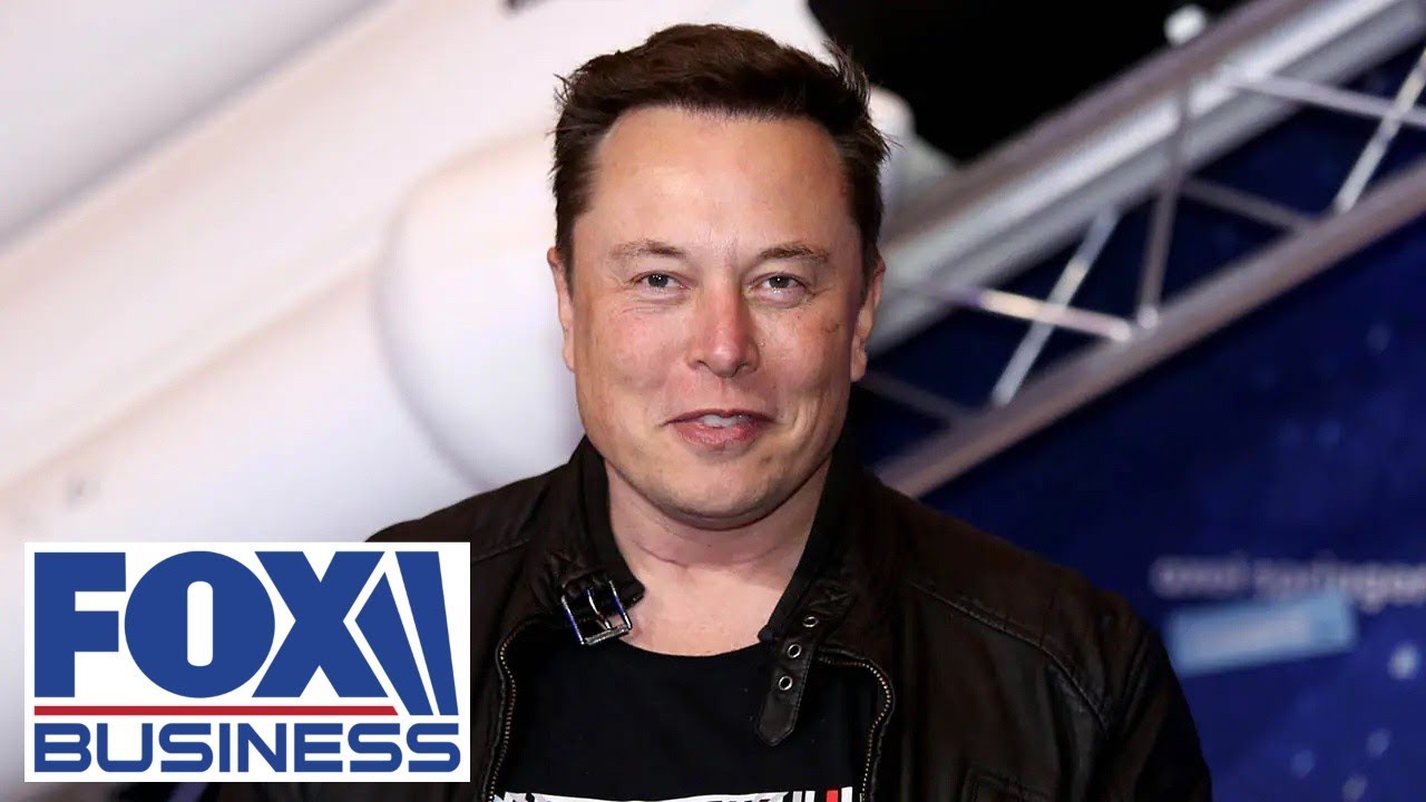 Why did Elon Musk call Biden 'a damp sock puppet in human form'?