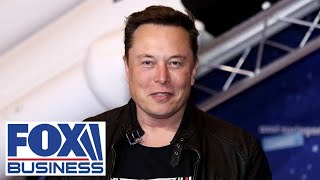 Why did Elon Musk call Biden 'a damp sock puppet in human form'?