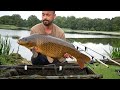 the golden chesut common carp goldie carpfishing uk viralvideo qbaits platinumtackle otbleads