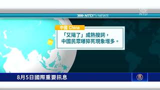 8月5日國際重要訊息 TikTok訴訟案 美國21州及50多位議員支持司法部