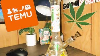 Reviewing Temu Bong.