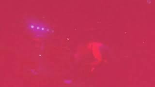 No Interest “Feed” live as The Casbah SD 1/27/25