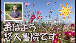 「仁藤夢乃さんを現代のキリストだとは言いませんが、COLABO叩きは新約聖書に出てくる〇〇な連中とそっくりだという話」