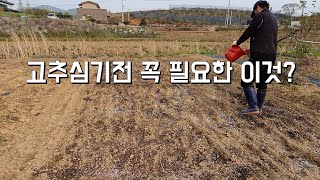 고추심는시기➡️ 고추밭만들기➡️고추밭 밑거름 비료주기