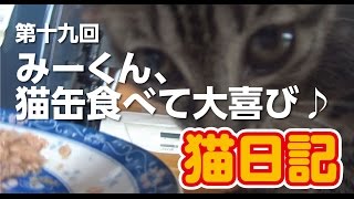 猫日記【第十九回】みーくん、猫缶食べて大喜び♪＜Kitten diary＞