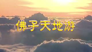 《佛子天地游记》20年8月17\u002620日【游心灵净土】诸佛菩萨开示；菩萨是践行无我，唯我意识是难以成佛