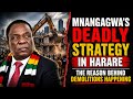 MNANGAGWA DEADLIEST STRATEGY TO STOP HARARE UPRISINGS AND MASS PROTESTS