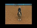 2011 aqha junior reining world champion