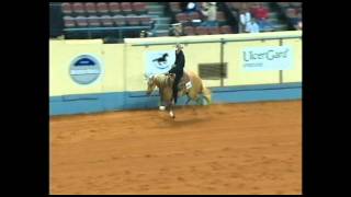 2011 AQHA Junior Reining World Champion