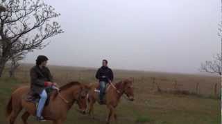 Video - Galopping on a Horse in the Pampas of Argentina Part 2