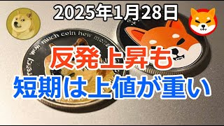 DeepSeekショック後、ドージコイン (DOGE)、シバイヌ (SHIB) 反発上昇！ただ短期は上値が重いか